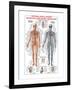 Circulatory System-Libero Patrignani-Framed Art Print