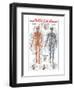 Circulatory System-Libero Patrignani-Framed Art Print