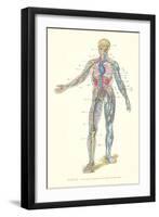 Circulatory System-null-Framed Art Print