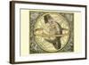 Circulis Coelestibus-Andreas Cellarius-Framed Art Print