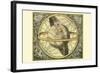 Circulis Coelestibus-Andreas Cellarius-Framed Art Print