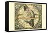 Circulis Coelestibus-Andreas Cellarius-Framed Stretched Canvas