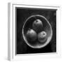 Circulo de peras-Moises Levy-Framed Premium Photographic Print