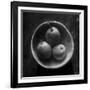 Circulo de peras-Moises Levy-Framed Photographic Print