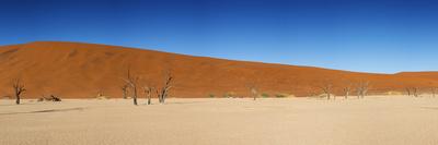 Panorama of the Dead Vlei
