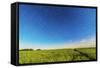 Circumpolar Star Trails over a Canola Field in Southern Alberta, Canada-null-Framed Stretched Canvas