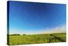 Circumpolar Star Trails over a Canola Field in Southern Alberta, Canada-null-Stretched Canvas