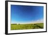 Circumpolar Star Trails over a Canola Field in Southern Alberta, Canada-null-Framed Photographic Print