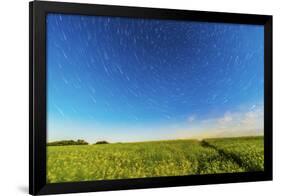 Circumpolar Star Trails over a Canola Field in Southern Alberta, Canada-null-Framed Photographic Print