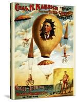 Circus 01882-Vintage Lavoie-Stretched Canvas