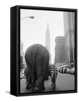 Circus Animals on 33rd Street-Bettmann-Framed Stretched Canvas