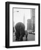 Circus Animals on 33rd Street-Bettmann-Framed Premium Photographic Print