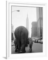 Circus Animals on 33rd Street-Bettmann-Framed Photographic Print