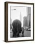 Circus Animals on 33rd Street-Bettmann-Framed Photographic Print