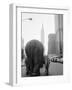 Circus Animals on 33rd Street-Bettmann-Framed Photographic Print