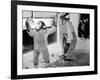 Circus Chimps 1954-Bill Ellman-Framed Photographic Print