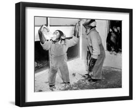 Circus Chimps 1954-Bill Ellman-Framed Premium Photographic Print