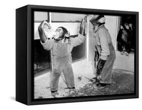 Circus Chimps 1954-Bill Ellman-Framed Stretched Canvas
