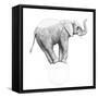 Circus Elephant, 2015,-Ele Grafton-Framed Stretched Canvas