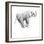 Circus Elephant, 2015,-Ele Grafton-Framed Giclee Print