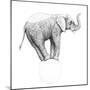 Circus Elephant, 2015,-Ele Grafton-Mounted Giclee Print