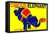 Circus Elephant-null-Framed Stretched Canvas