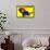 Circus Elephant-null-Framed Stretched Canvas displayed on a wall