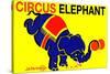 Circus Elephant-null-Stretched Canvas