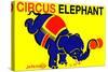 Circus Elephant-null-Stretched Canvas