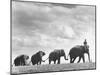 Circus Elephants Walking in Line-Cornell Capa-Mounted Photographic Print