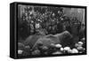 Circus Elephants-null-Framed Stretched Canvas