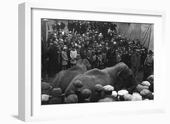 Circus Elephants-null-Framed Photographic Print