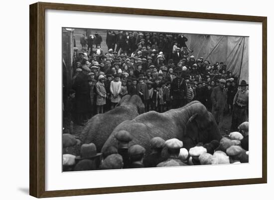 Circus Elephants-null-Framed Photographic Print