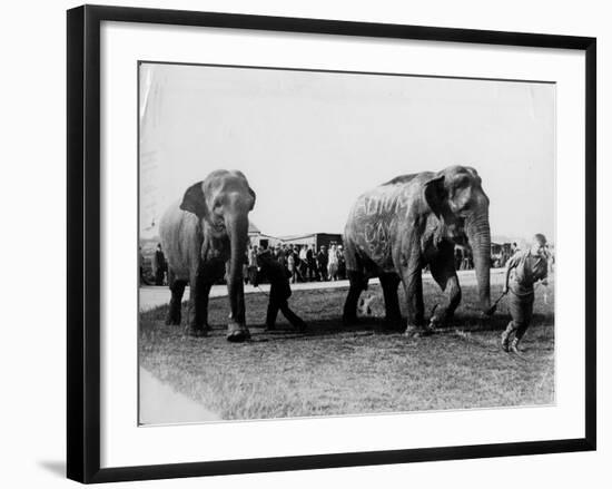 Circus Elephants-null-Framed Photographic Print