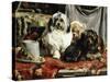 Circus Entertainers-Charles Van Den Eycken-Stretched Canvas