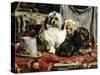 Circus Entertainers-Charles Van Den Eycken-Stretched Canvas