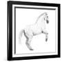 Circus Horse, 2015,-Ele Grafton-Framed Giclee Print