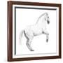 Circus Horse, 2015,-Ele Grafton-Framed Giclee Print