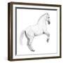 Circus Horse, 2015,-Ele Grafton-Framed Giclee Print