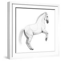 Circus Horse, 2015,-Ele Grafton-Framed Giclee Print