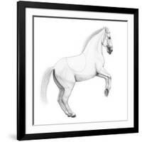 Circus Horse, 2015,-Ele Grafton-Framed Giclee Print