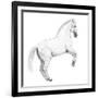 Circus Horse, 2015,-Ele Grafton-Framed Giclee Print