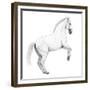 Circus Horse, 2015,-Ele Grafton-Framed Giclee Print