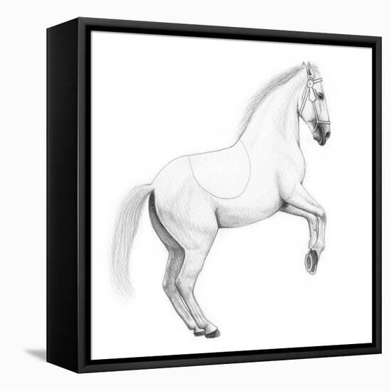 Circus Horse, 2015,-Ele Grafton-Framed Stretched Canvas