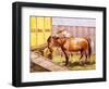 Circus Horses (Watercolour)-John Atkinson-Framed Giclee Print