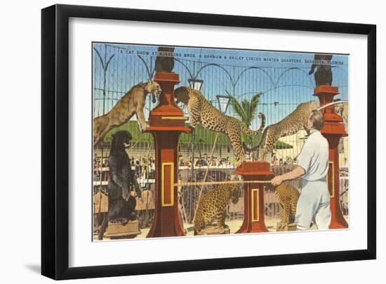 Circus Leopards, Panther, Lion, Sarasota, Florida-null-Framed Art Print