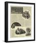 Circus Life Behind the Scenes-null-Framed Giclee Print