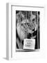 Circus Lion-Mike Moore-Framed Photographic Print