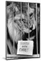 Circus Lion-Mike Moore-Mounted Photographic Print