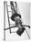 Circus Performer Hanging Upside Down-Cornell Capa-Stretched Canvas